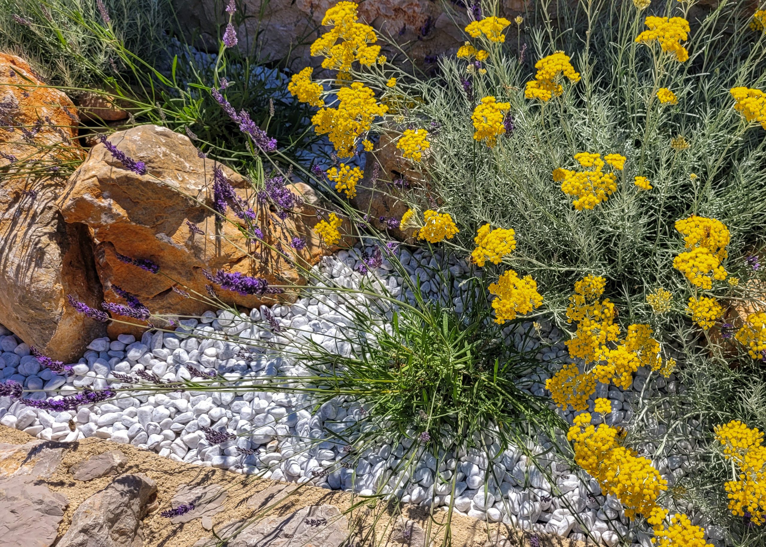 IMG_3338